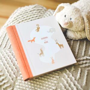 Journal de bébé : de la naissance à 5 ans