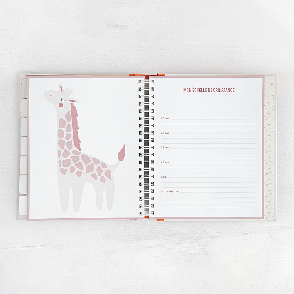 Journal de bébé : de la naissance à 5 ans