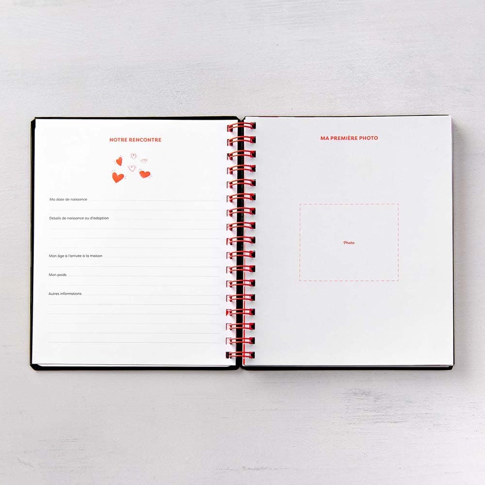 Ma fabuleuse vie de chien (French only) - Image 5