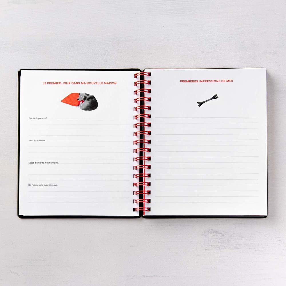 Ma fabuleuse vie de chien (French only) - Image 7