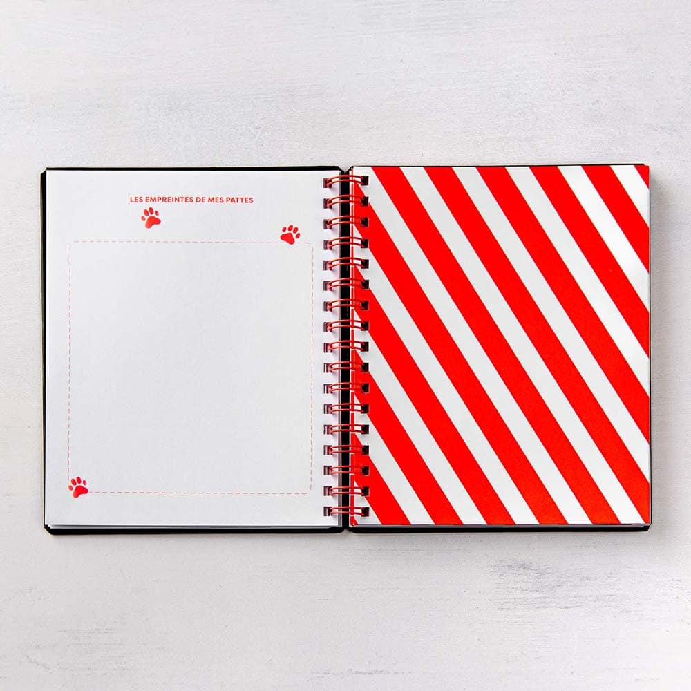 Ma fabuleuse vie de chien (French only) - Image 8