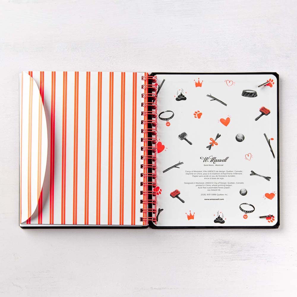 Ma fabuleuse vie de chien (French only) - Image 11