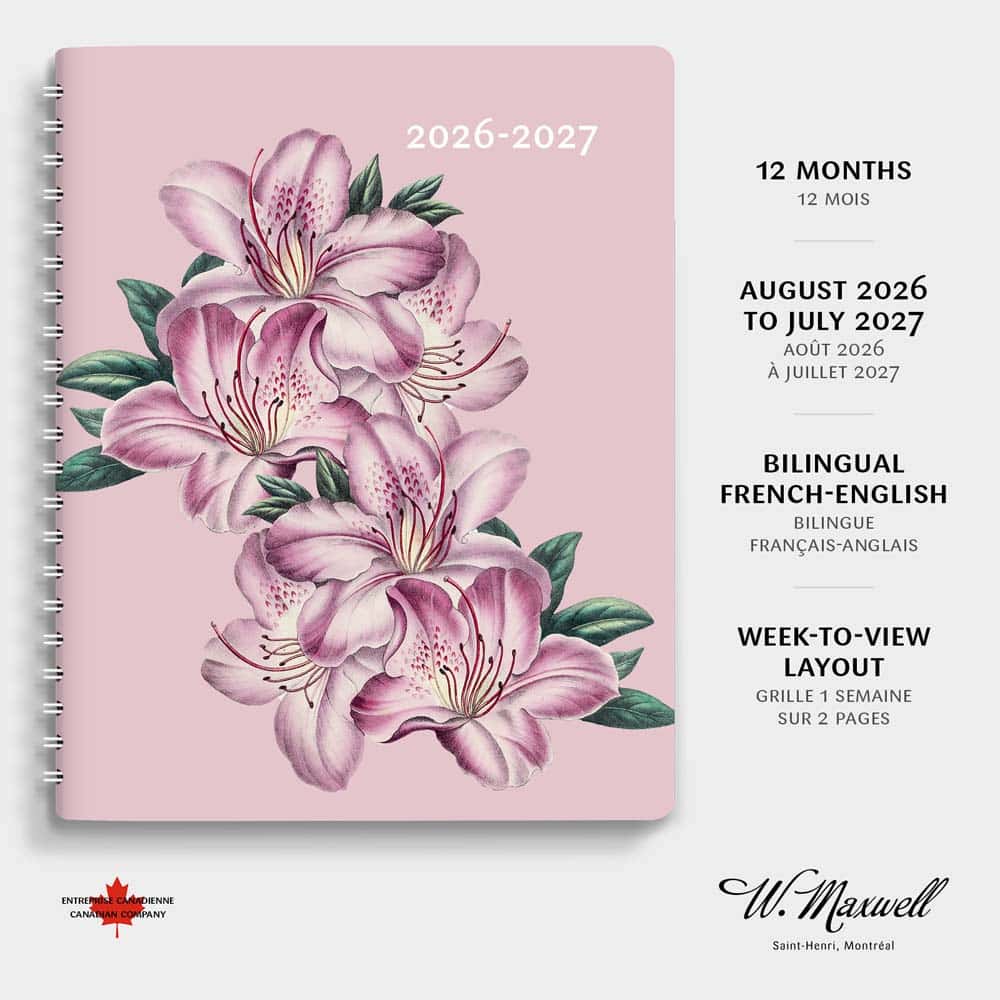 Maxi-E Rose Scolaire 2026-2027 – Image 3