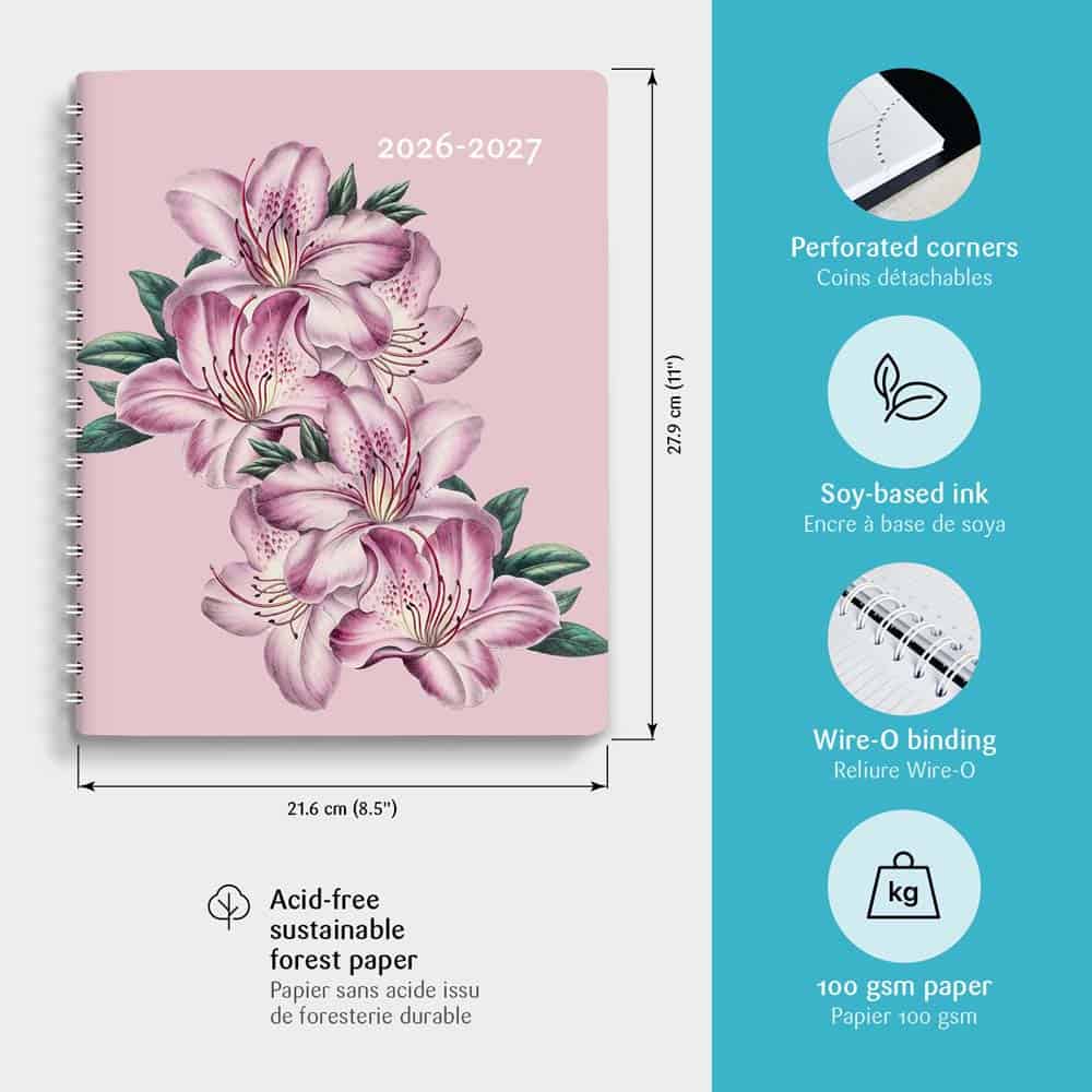 Maxi-E Rose Scolaire 2026-2027 – Image 4