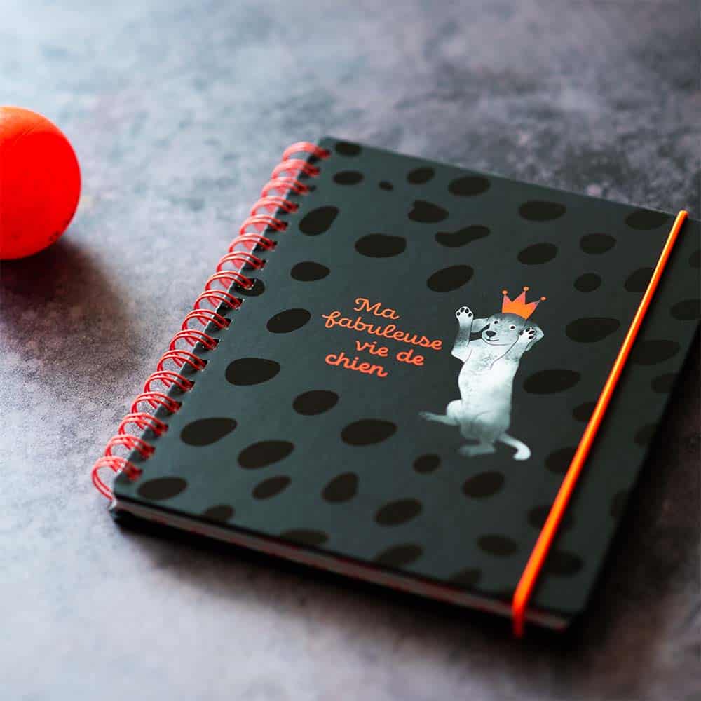 Journal Ma fabuleuse vie de chien