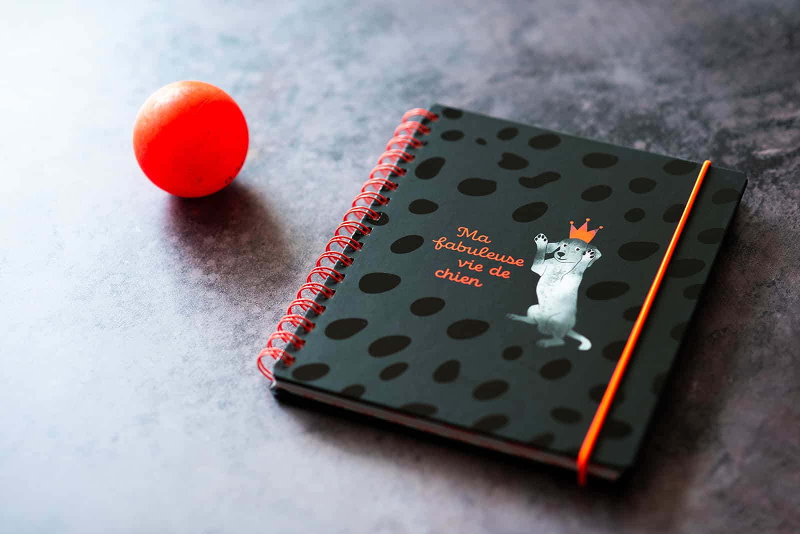 Ma fabuleuse vie de chien