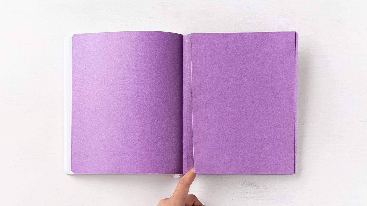 Melville : pochette